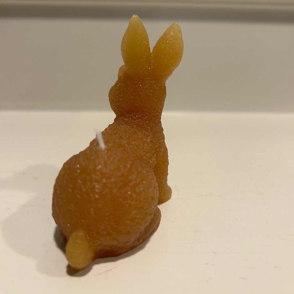 Illuminations Honey Bunny Candle Set - Picture 3 of 13